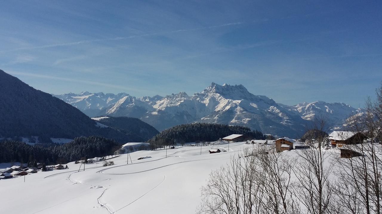 Winterfell Villa Leysin Exterior foto