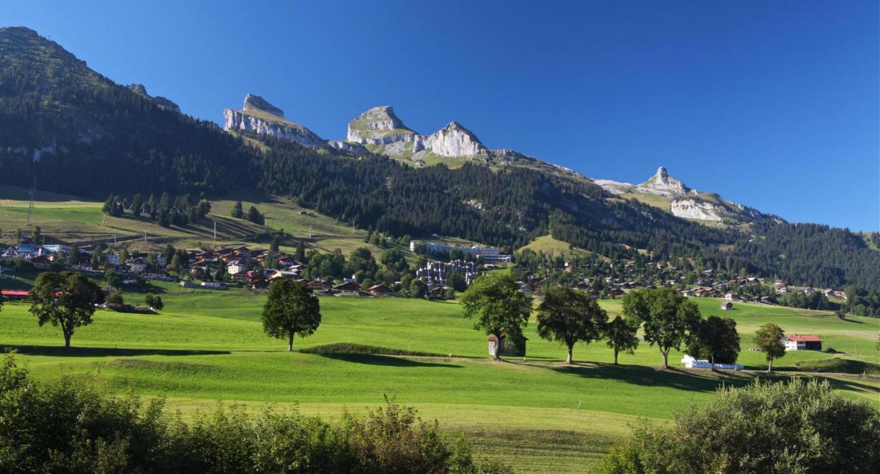 Winterfell Villa Leysin Exterior foto