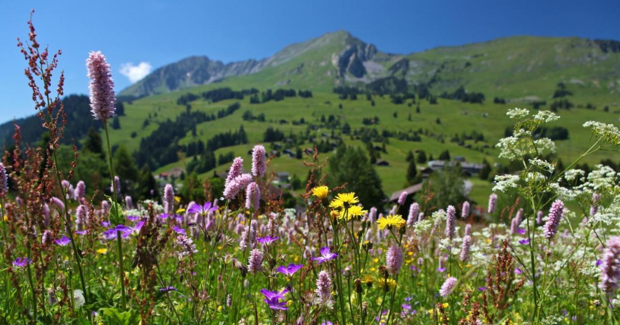 Winterfell Villa Leysin Exterior foto